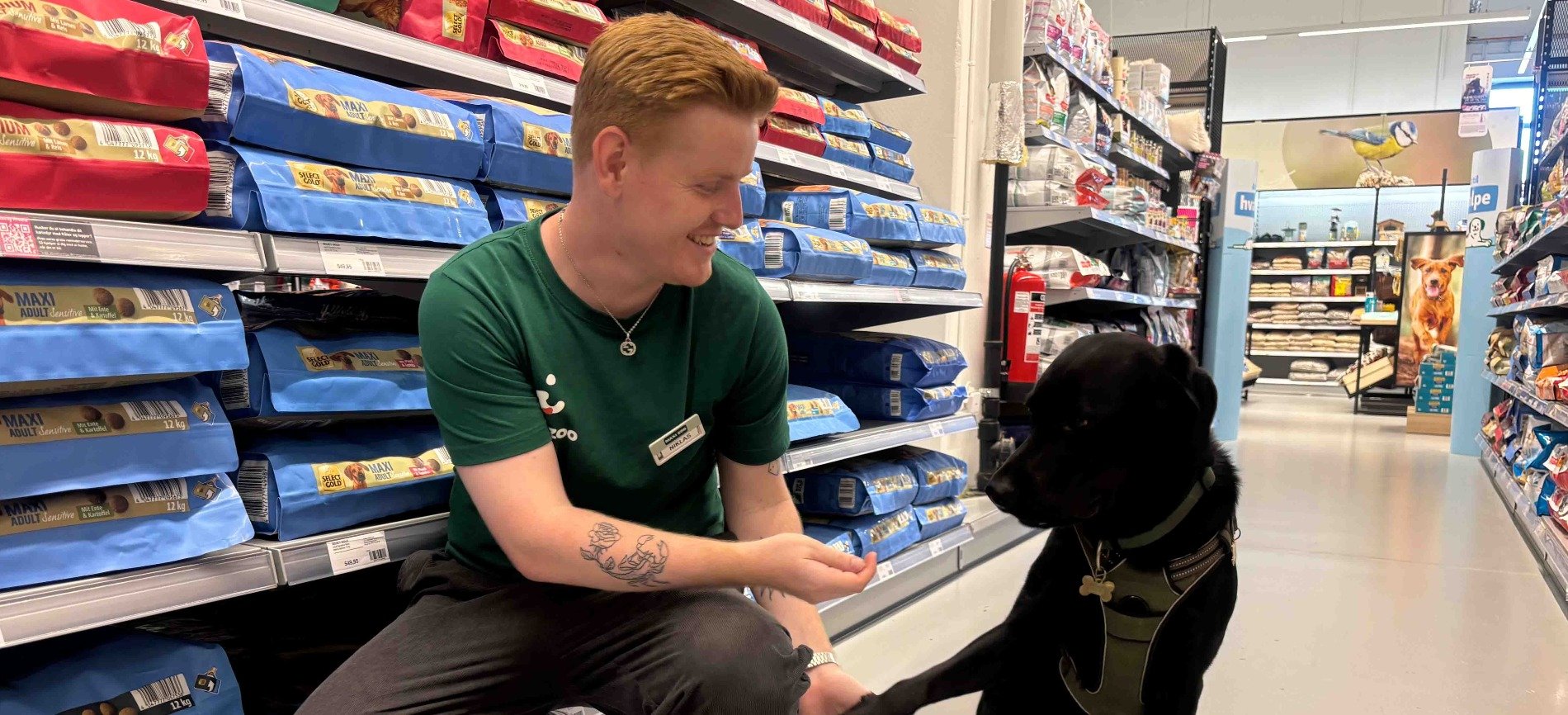 Mit navn er Niklas, og jeg er elev hos Maxi Zoo Herlev Big